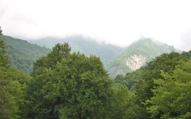 Talistan Forest Park