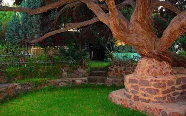 B&B Il Giardino Dacri