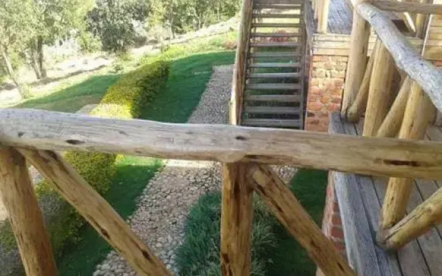 Gorilla Safari Lodge