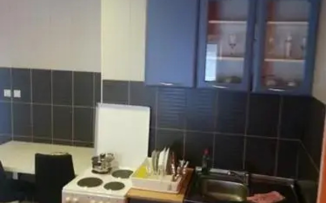 Apartment Savanovic