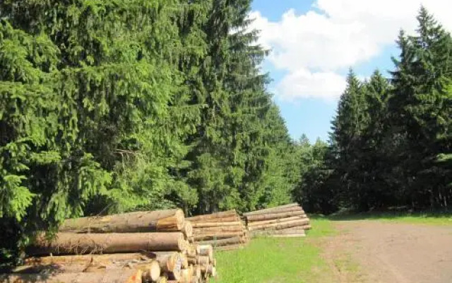 Ferienwohnung Römerstein