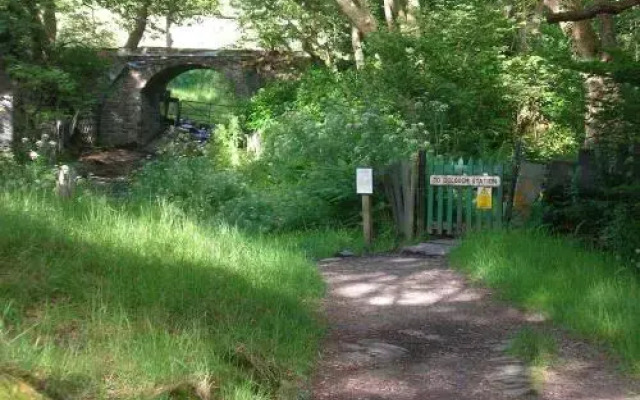 Dolgoch Falls