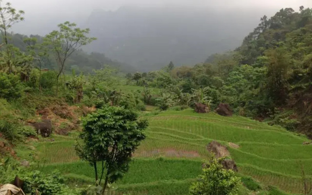 Nha San So 20 Ban Lac