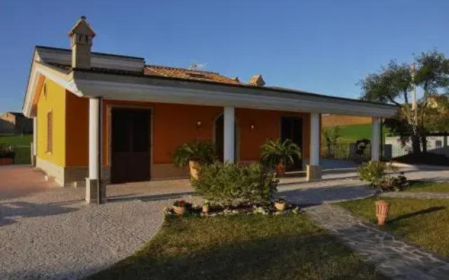 B&B Agrifoglio