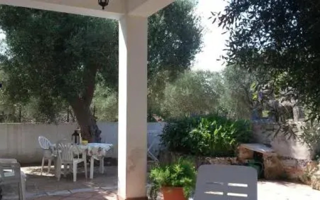 Tenuta Palummaru