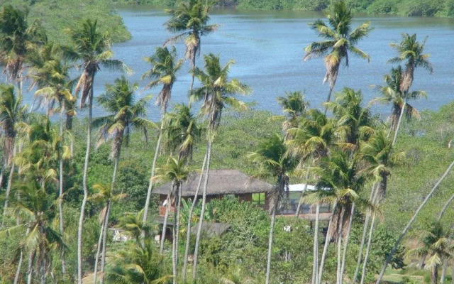 Pura Vida Bahia