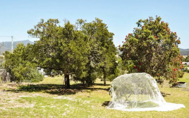 FALMOUTH Seadrift Cottage