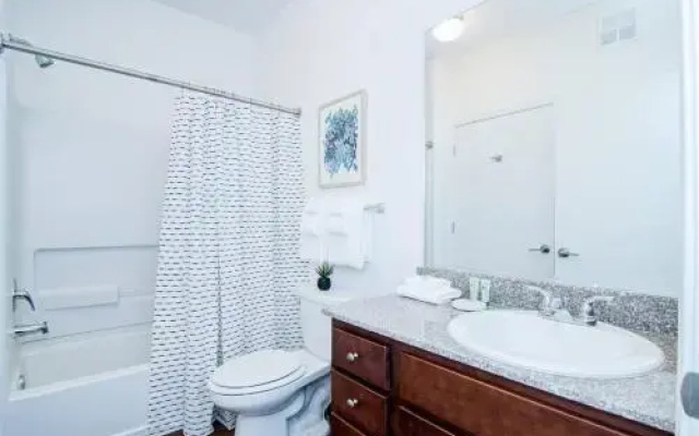 Amazing New 2Bdrm/2Bath Apt Downtown