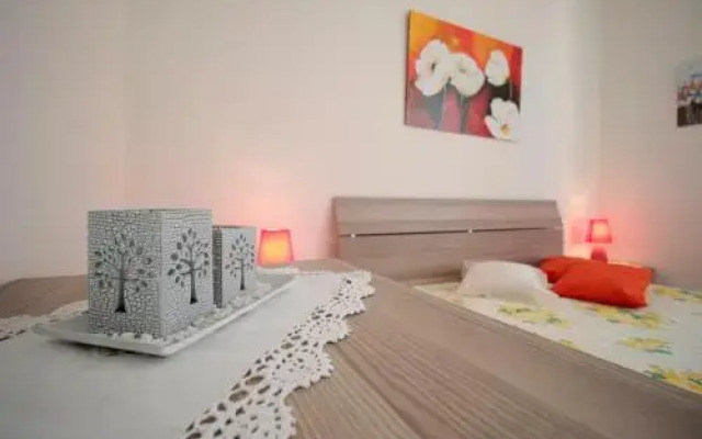 House Argia by Holiday World