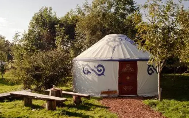 Plush Tents Glamping