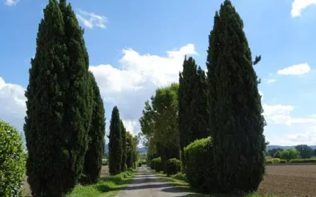 La Vecchia Stalla B&B
