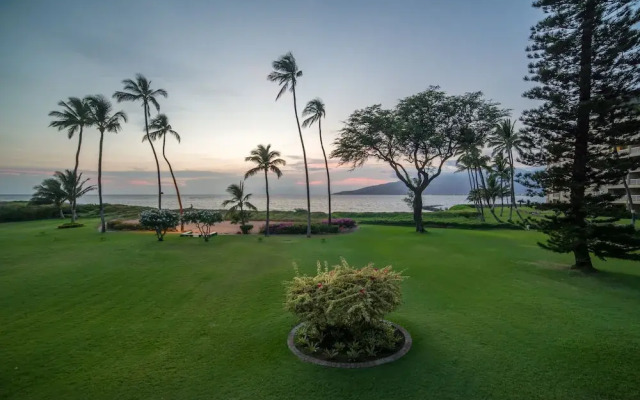 Koa Lagoon #206