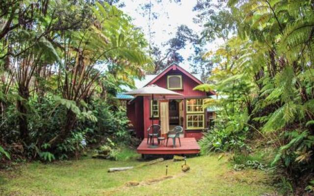 Ferny Hollow: Romantic Rainforest Cottage