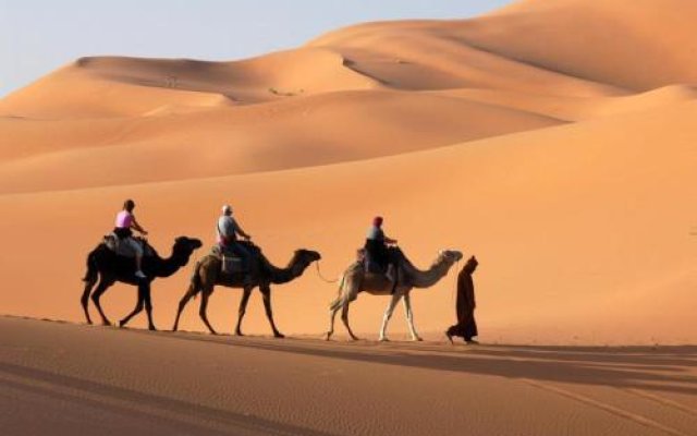Best Morocco Tours
