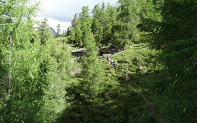 Ferienwohnung Bergmann