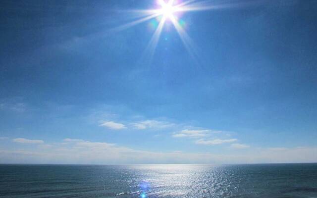 Ocean Forest 1107- Ocean Front