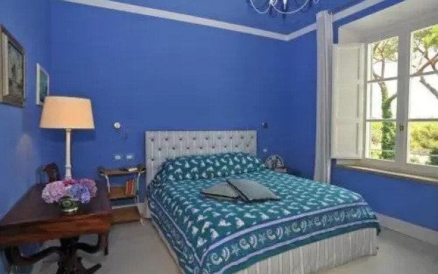 Beach Front Limonaia