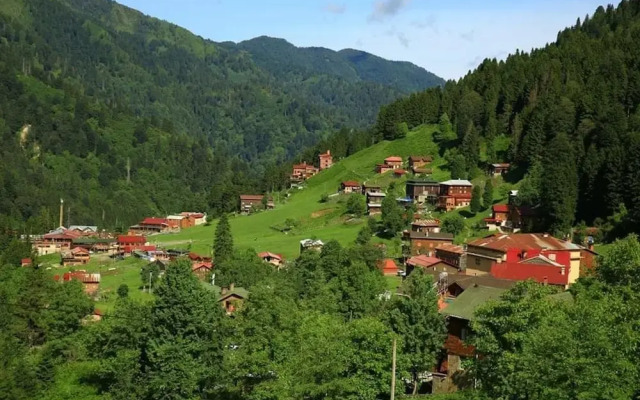 Zafran Otel