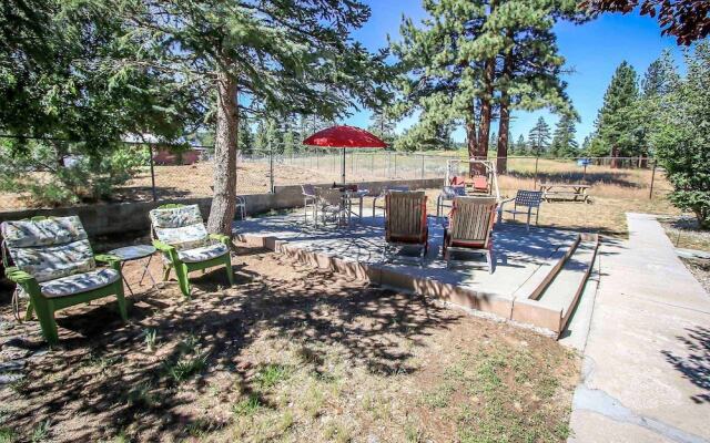 Owl Pine Cabin Room 1554