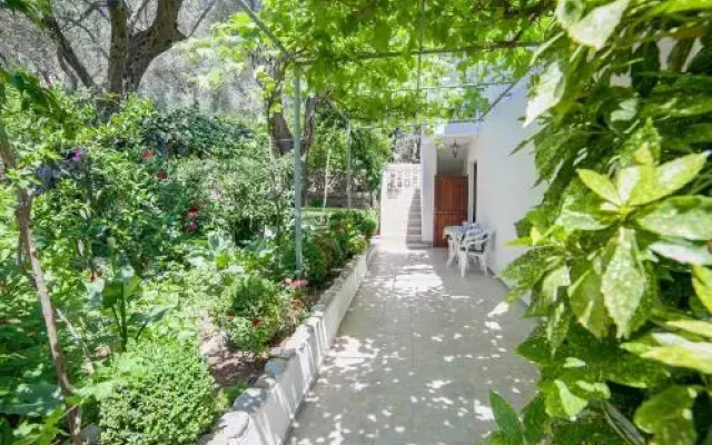Rooms Garden