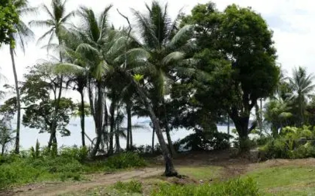 Las Brisas Tours y Cabinas