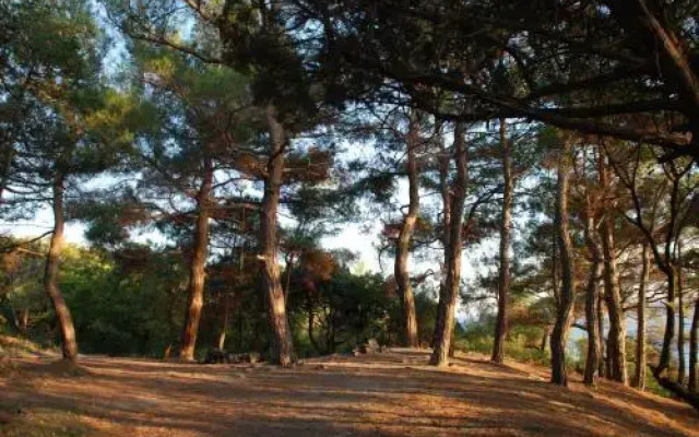 Guest House Panorama