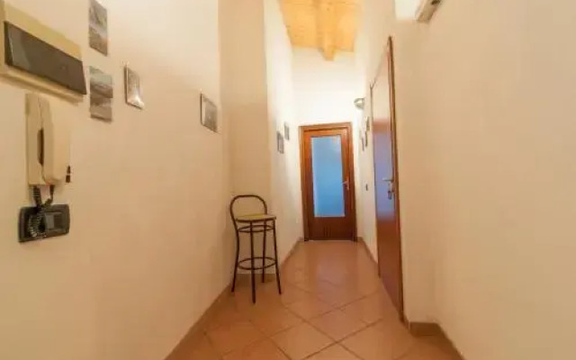 Lo Sparviero