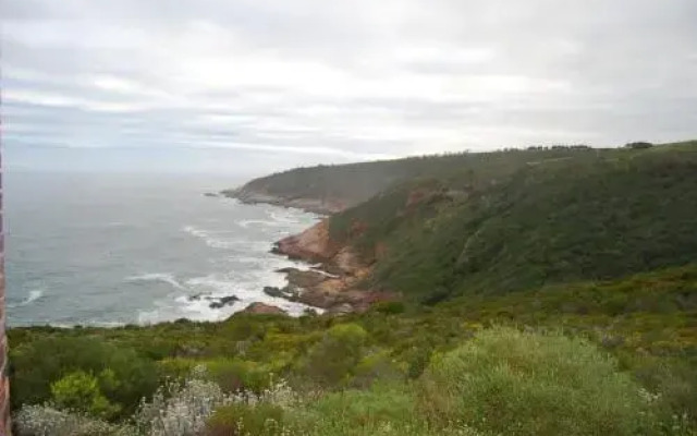 Blue Whale Resort