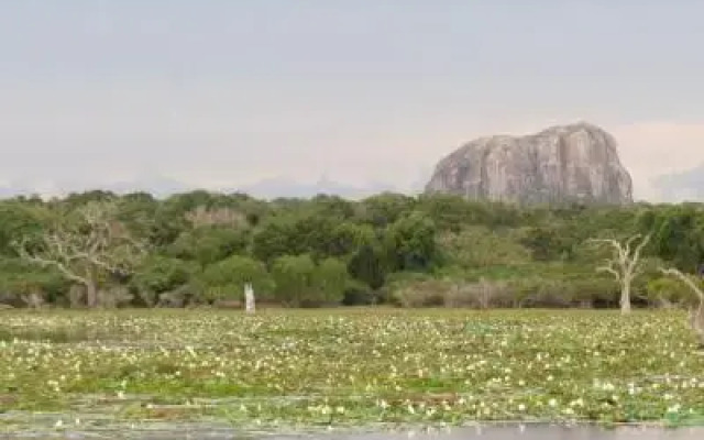 Ruhunu Safari Camping