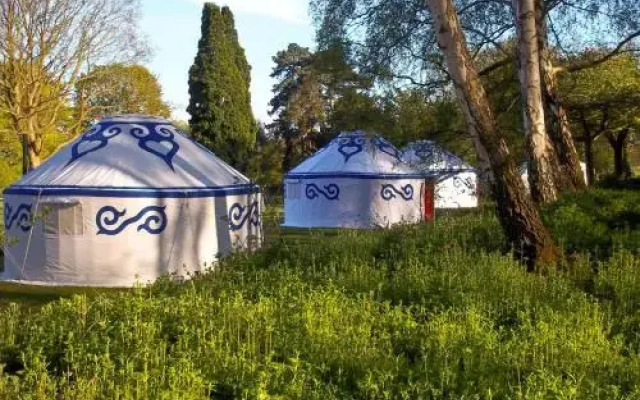 Plush Tents Glamping