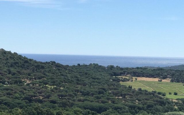 La Vigne De Ramatuelle