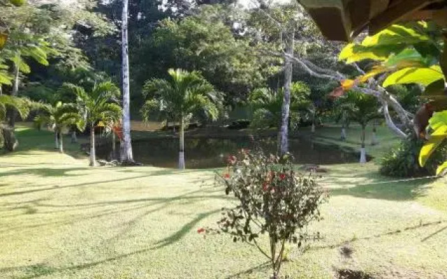 Rincon Verde