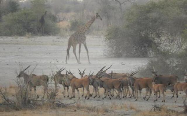 Thobolo's Bush Lodge