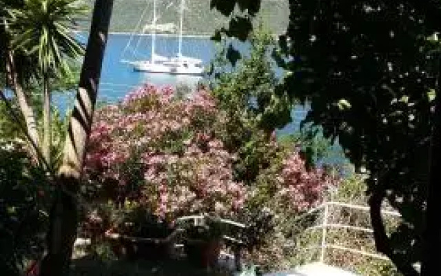 Villa Delfini
