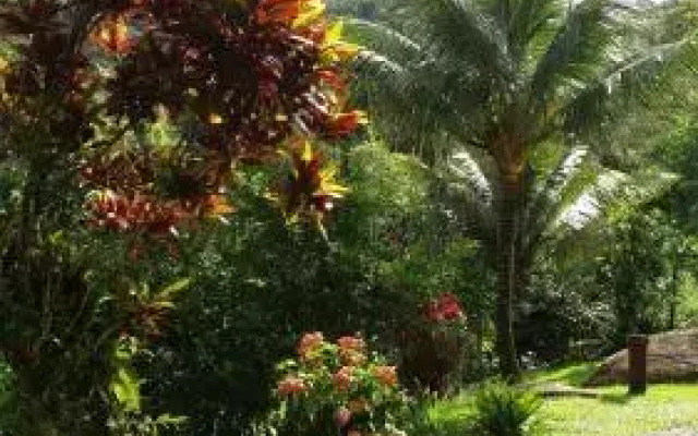 Pouso Canto Verde