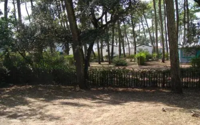 Camping de la Plage de Riez