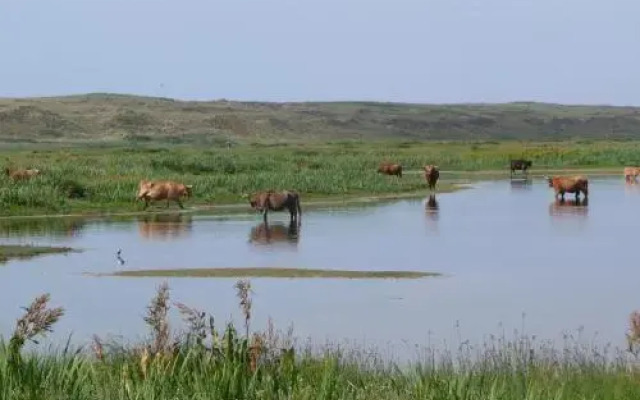 Bungalowpark 't Hoogelandt