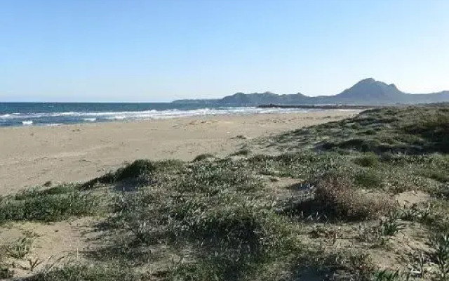 Mirto E Mare