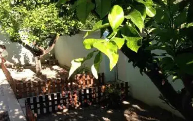 Le Tartarughe