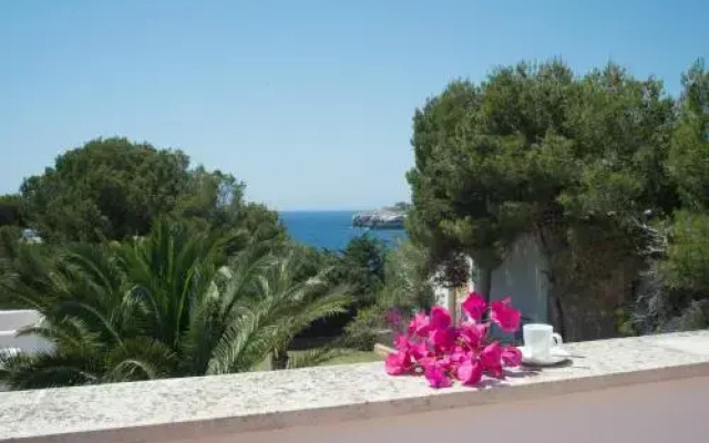 Cova Blanca