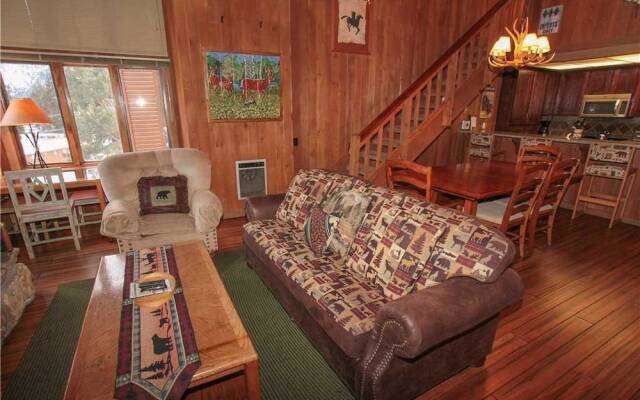 Mountainback #105, Loft, Den