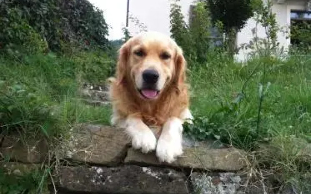 Rose e Cioccolato B&B