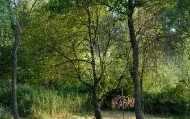 Residence Les Rossignols