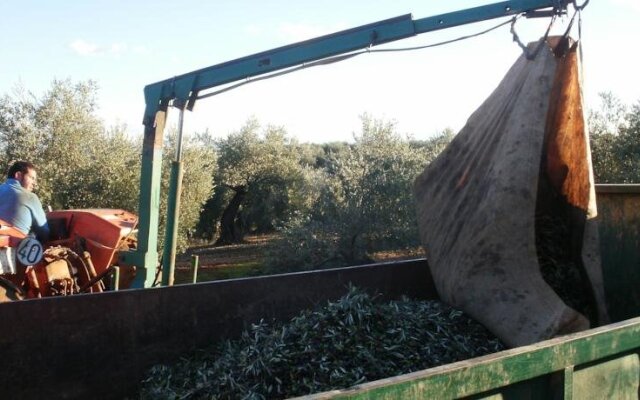 Cortijo Molino San Juan