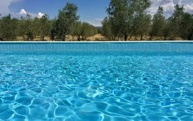 Il Girasole Terzuolo