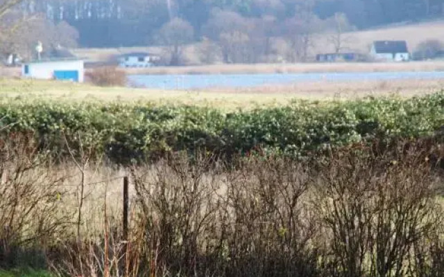 Pension Zum Neuensiener See