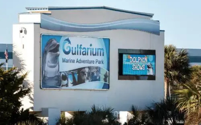 Gulf Dunes 512 by RedAwning