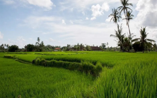Ubud Riverview Villa