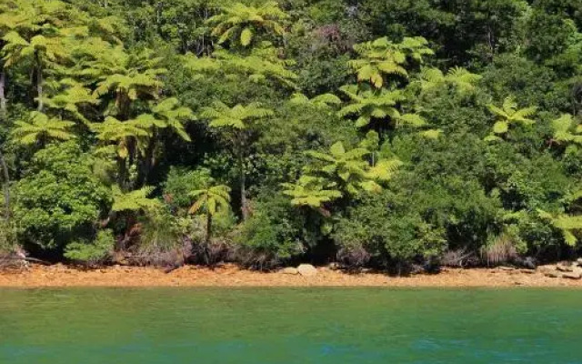 Marlborough Sounds Accommodation 92
