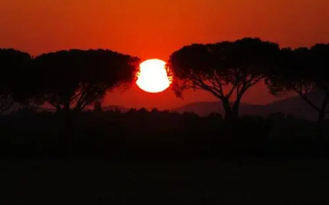 Agriturismo Le Giunchiglie